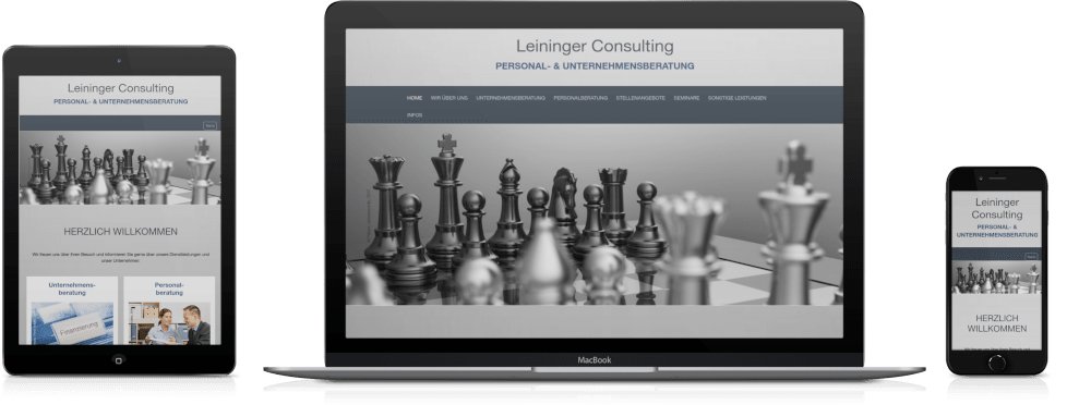 www.leininger-consulting.de